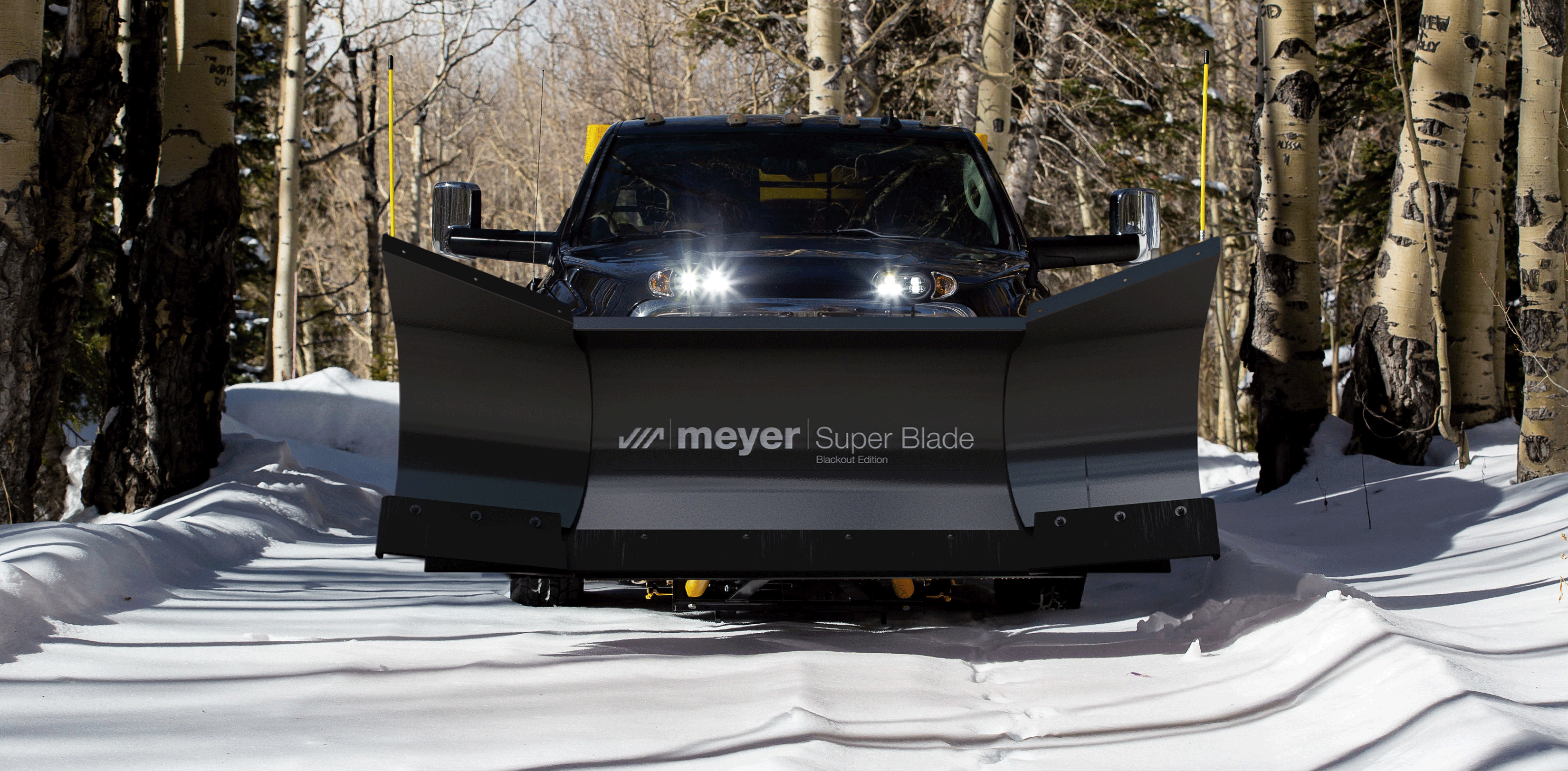 100 Years of Meyer