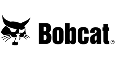 Bobcat